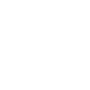 Ville de Nice-©anices
